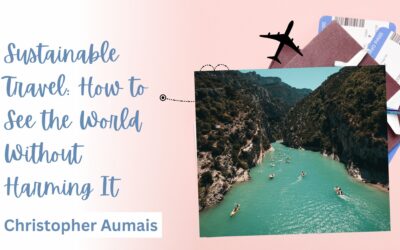 Blog 1 Sustainable Travel: How to See the World Without Harming It